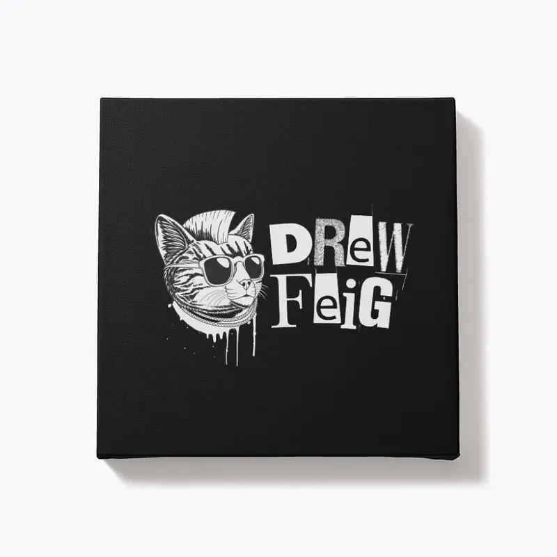 Drew Feig cat